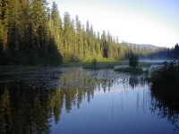 Loon Lake Campground