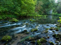 Dunn Creek Campground