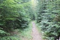 Redtop biking trail outside of Libby MT