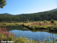 Yaak River north of Libby Montana