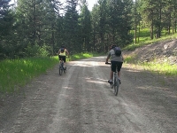 Swede Mountain biking trail in Libby MT